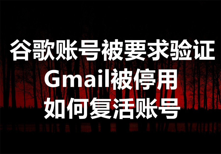 注册Gmail成功， 但再次登录提示登录Gmail，提示你的账号疑似使用机器注册，已被停用，是什么原因，如何解决？