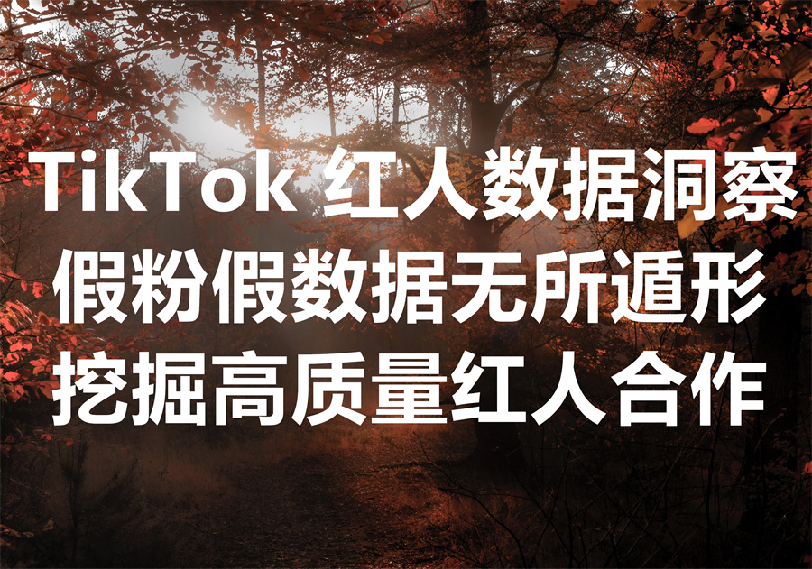 我们提供TikTok红人数据洞察工具和服务助力找寻高性价比红人合作，We Provide TikTok Influencer Insight Tools.