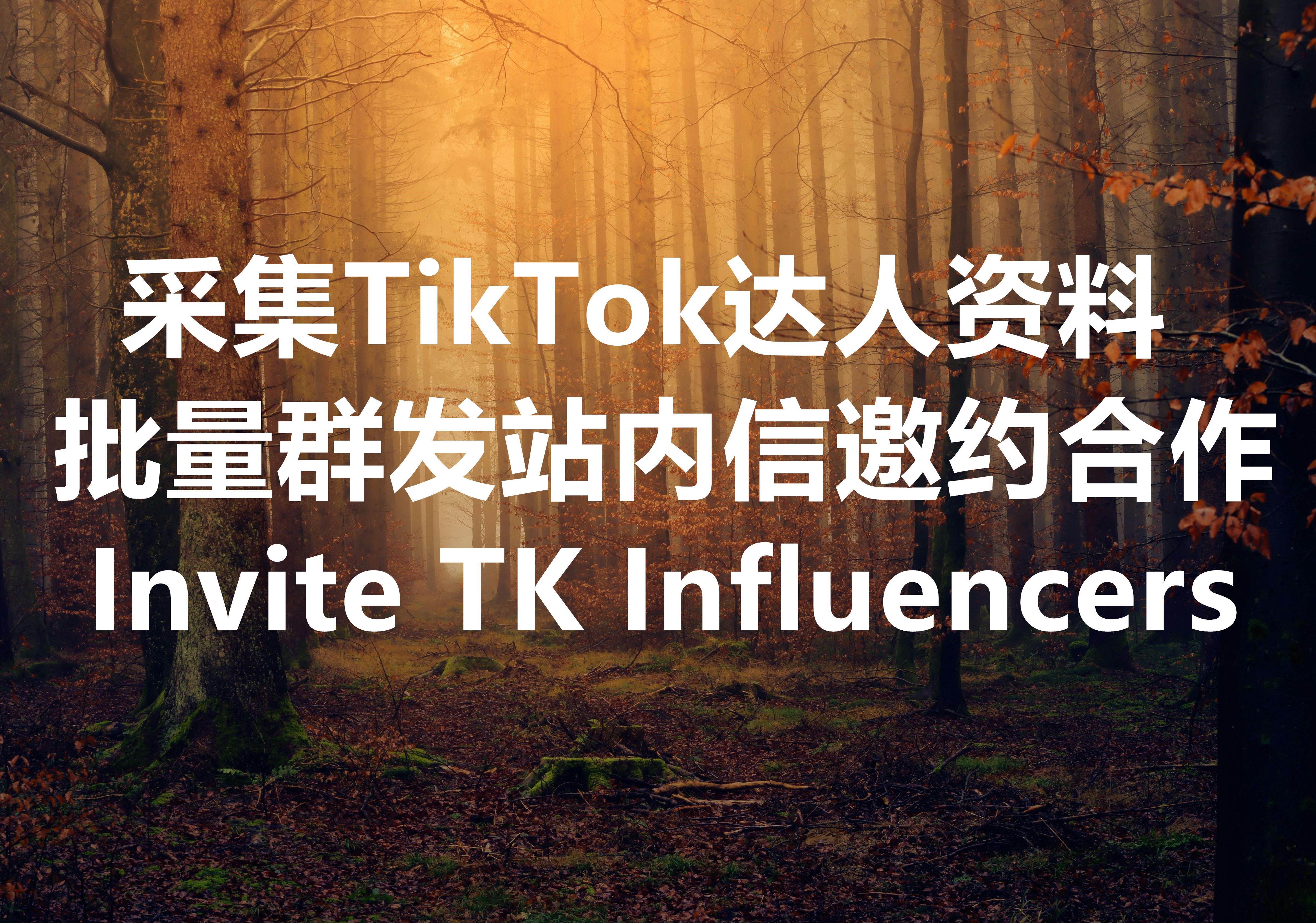 我们提供采集 TikTok 达人资料、并批量发送 DM 站内信邀约合作推广的服务和工具。We Provide TikTok Creators Extract & Messaging Service.