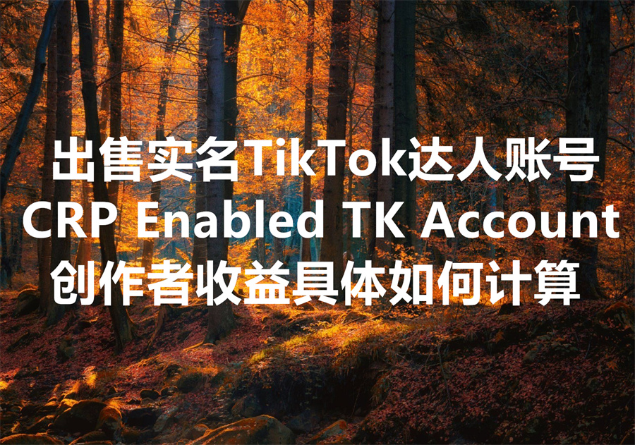 我们出售已过实名认证的TikTok达人账号，We sell CRP Enabled TikTok Account！创作者收益具体如何计算？
