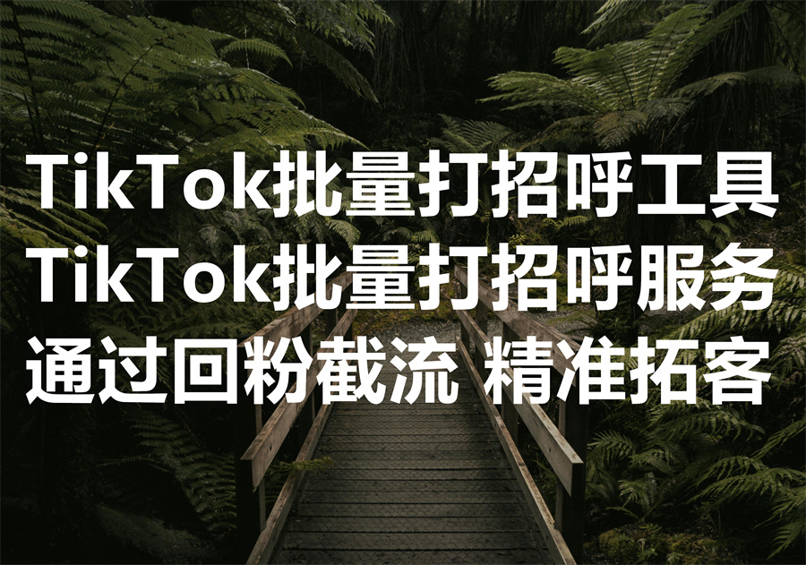 我们提供 TikTok 批量打招呼的服务和工具实现快速涨粉，We help you bulk greeting TikTok users to grow followers.