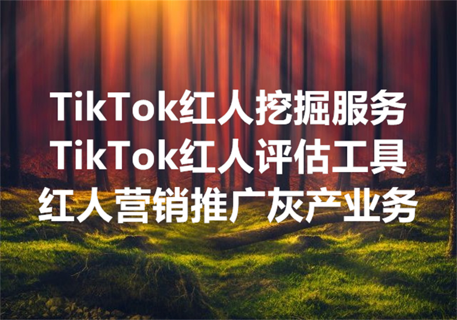 我们提供TikTok红人推广灰产出海业务，We Provide TikTok Influencers Evaluate Software to Promote. 高效找寻并评估达人的工具。