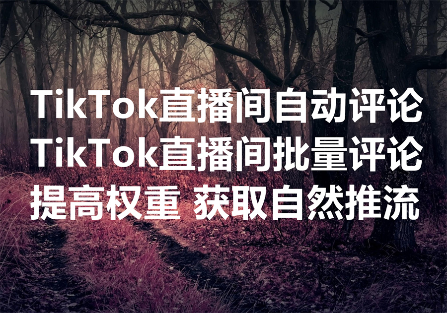 我们提供在 TikTok 直播间批量自动评论的服务和工具, We provide TikTok live bot and service!