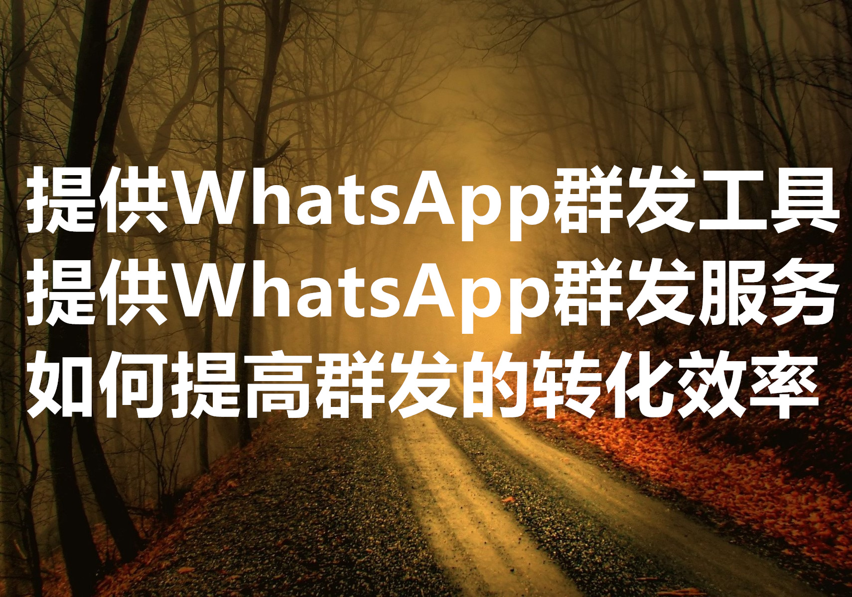 我们提供WhatsApp超链群发的工具和服务，如何优化消息内容实现高拓客转化率？