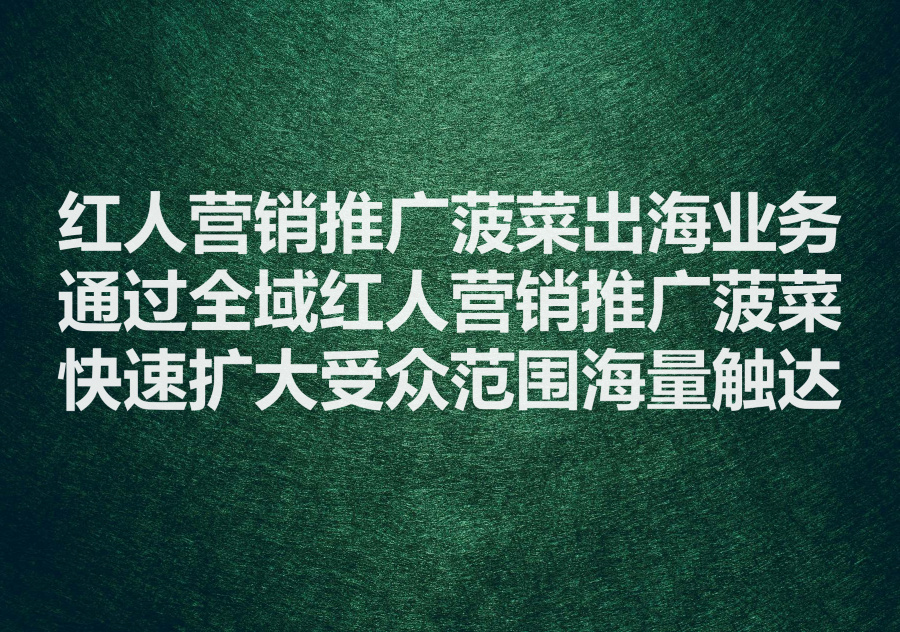 我们提供通过红人营销来推广菠菜出海业务的服务，We provide online gambling promotion service!